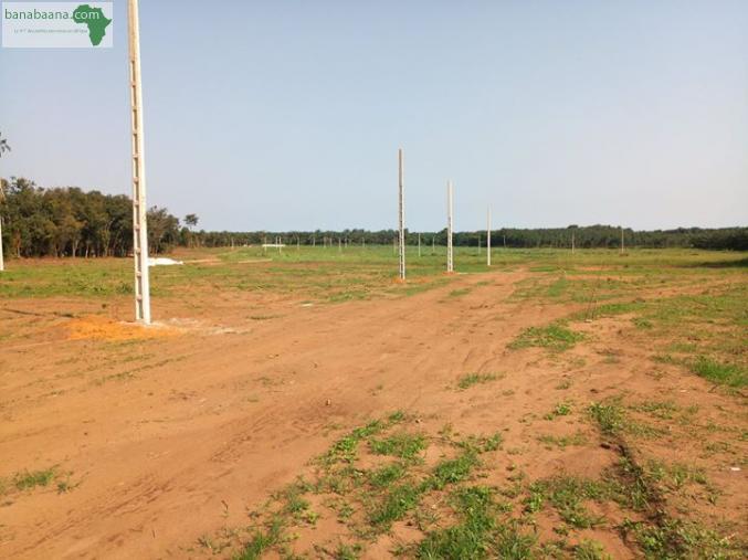 Terrains Parcelles Vente De Terrains Viabilises A