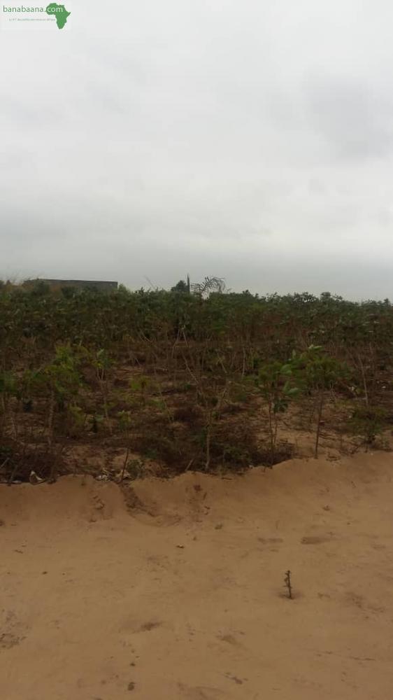 Terrains Parcelles Terrain à vendre PointeNoire Banabaana
