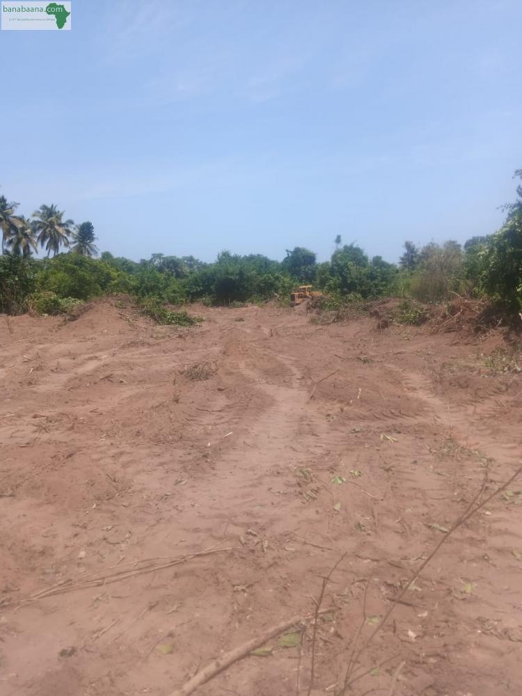 Terrains - Parcelles TERRAIN EN VENTE Abidjan - Banabaana